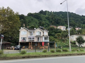 Rize-Çayeli-Villa